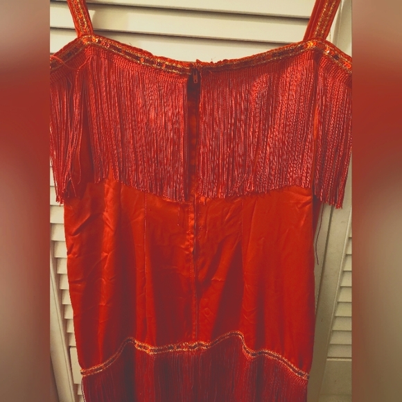 1920's Shaker Dress Halloween Costume - Picture 2 of 2